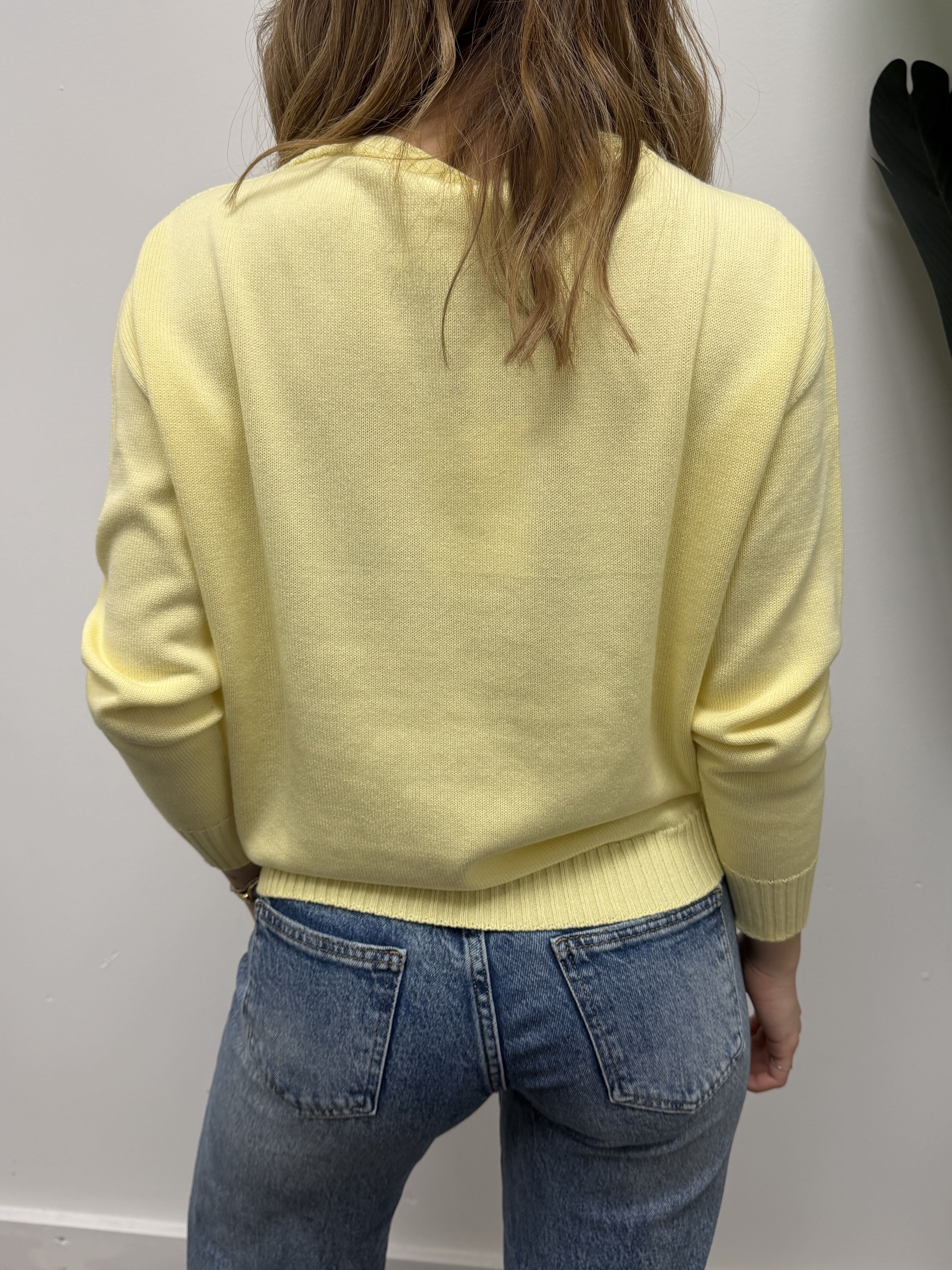 Maglioncino girocollo in cotone Susy Mix