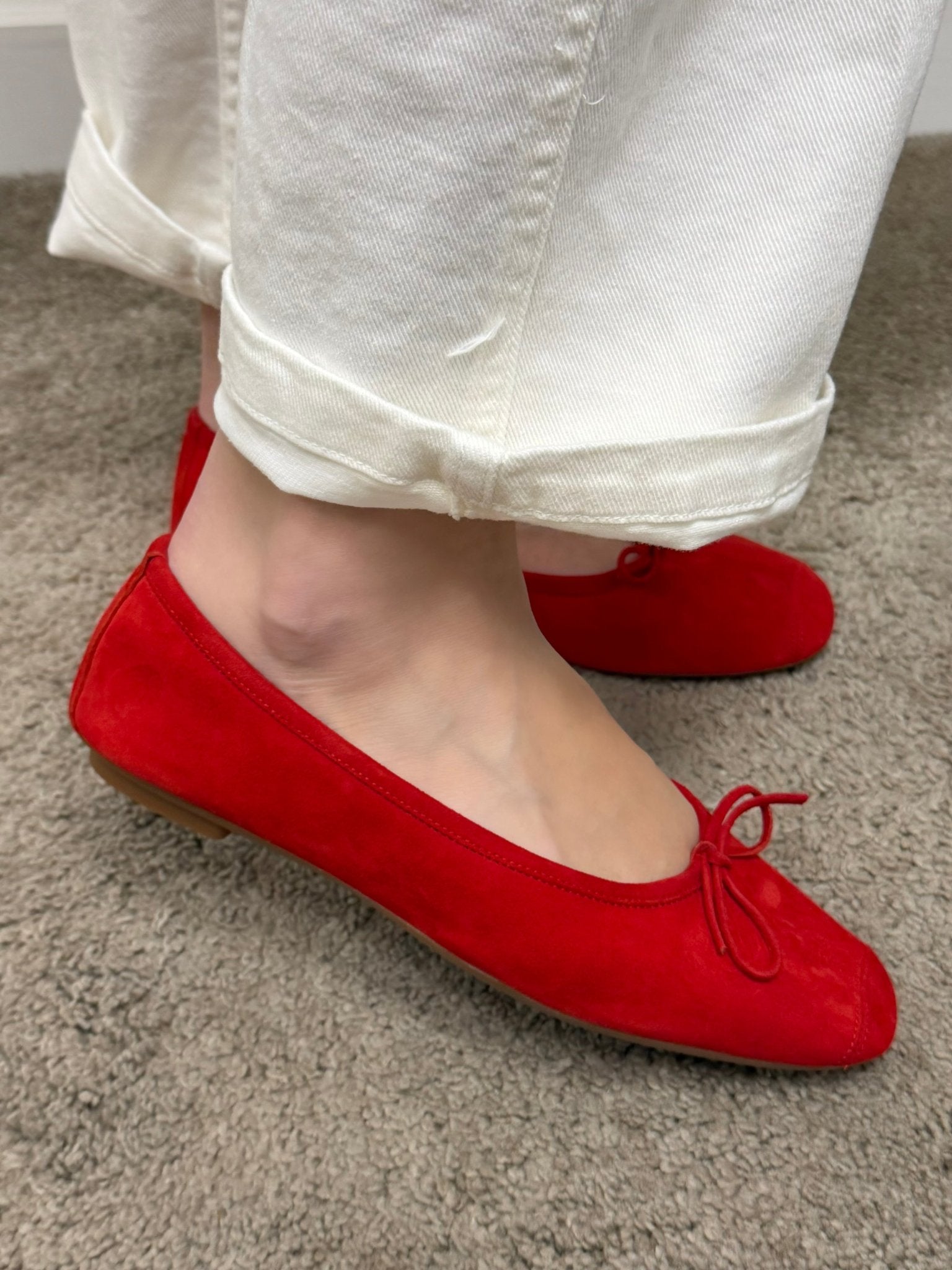 Ballerina Harmony velours Requins - GiuGiò | Shop online