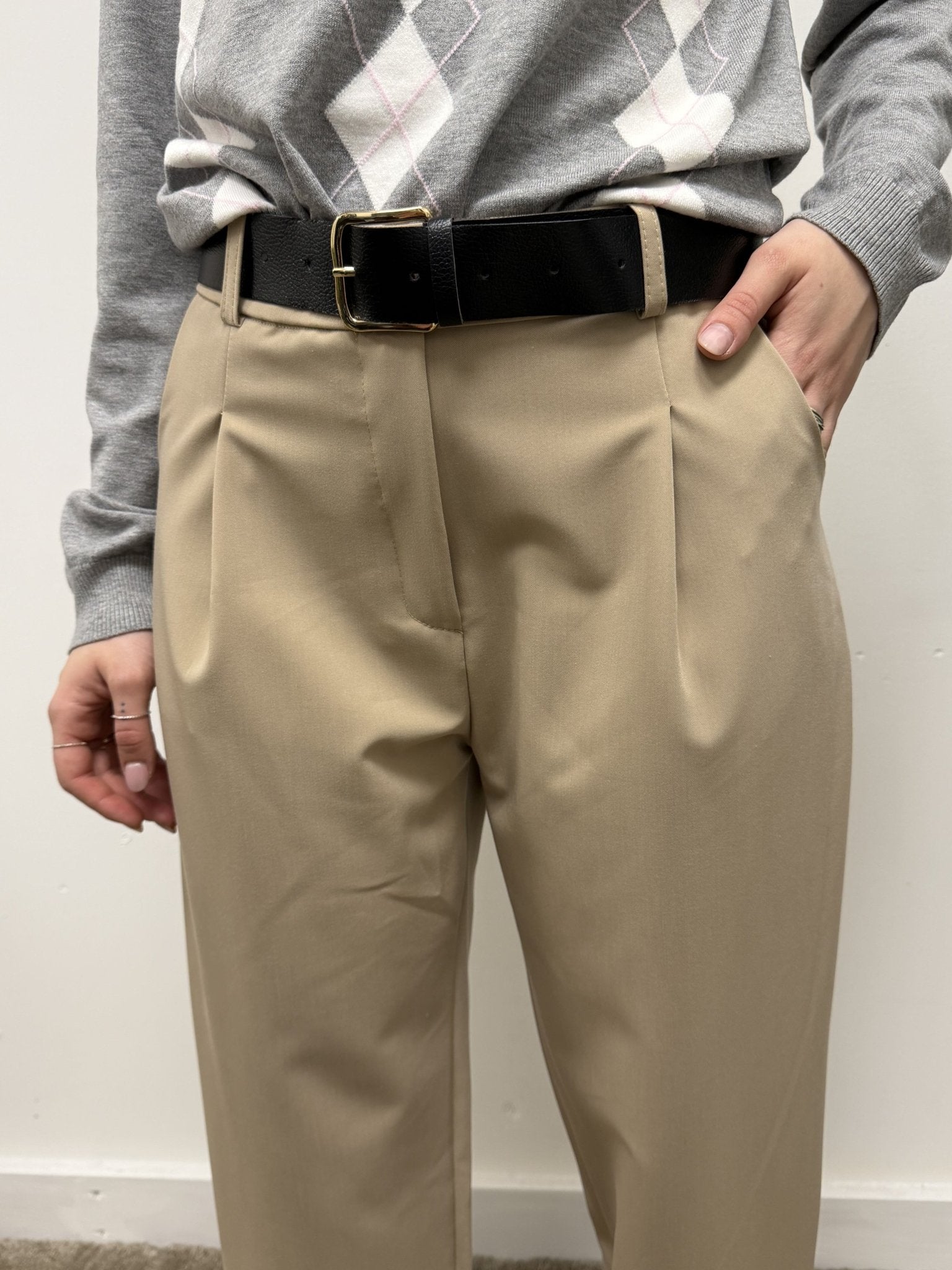 Pantalone carrot con pinces MyD - GiuGiò | Shop online