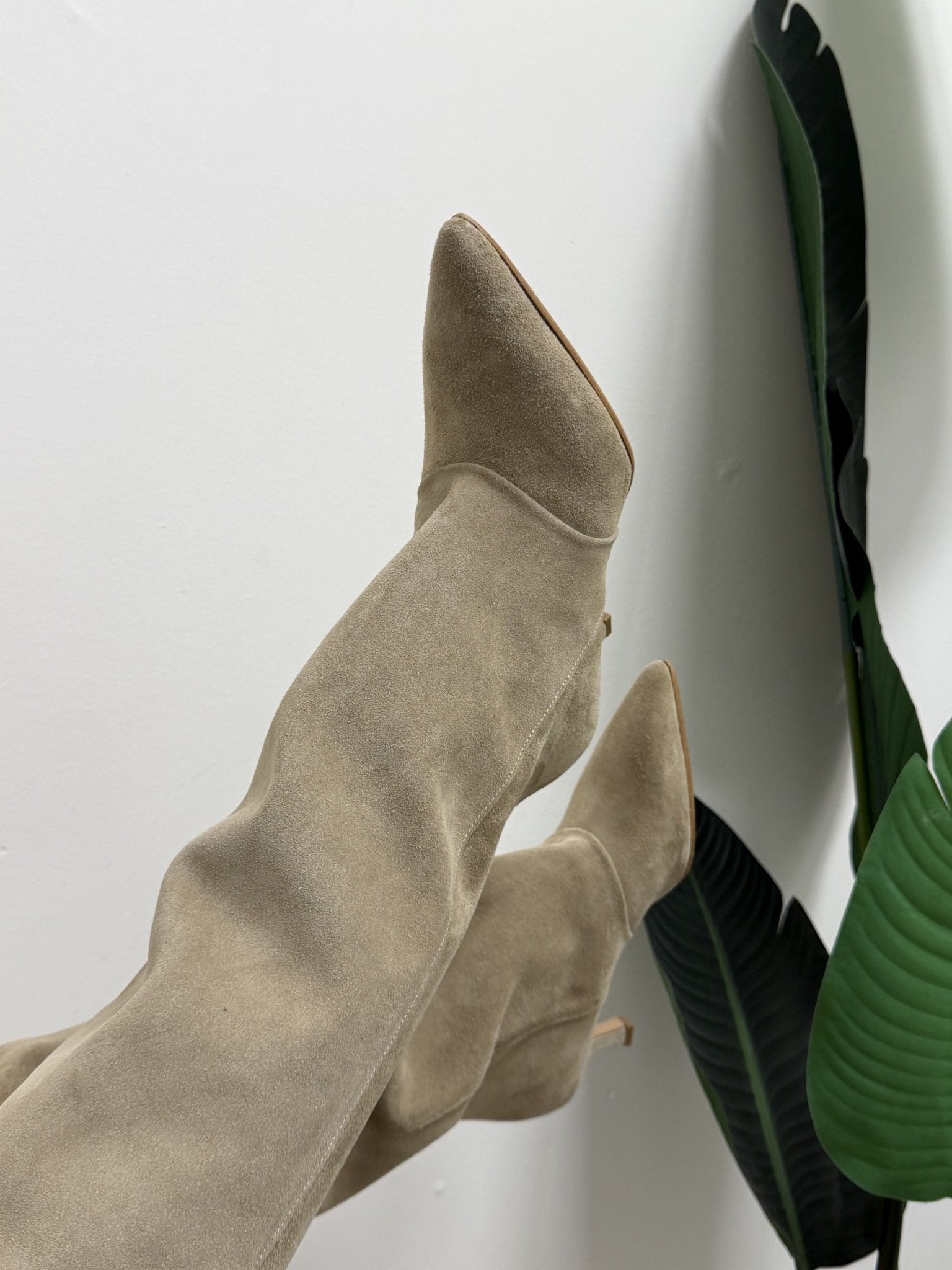Stivale alto in camoscio tacco kitten Divine Follie - GiuGiò | Shop online