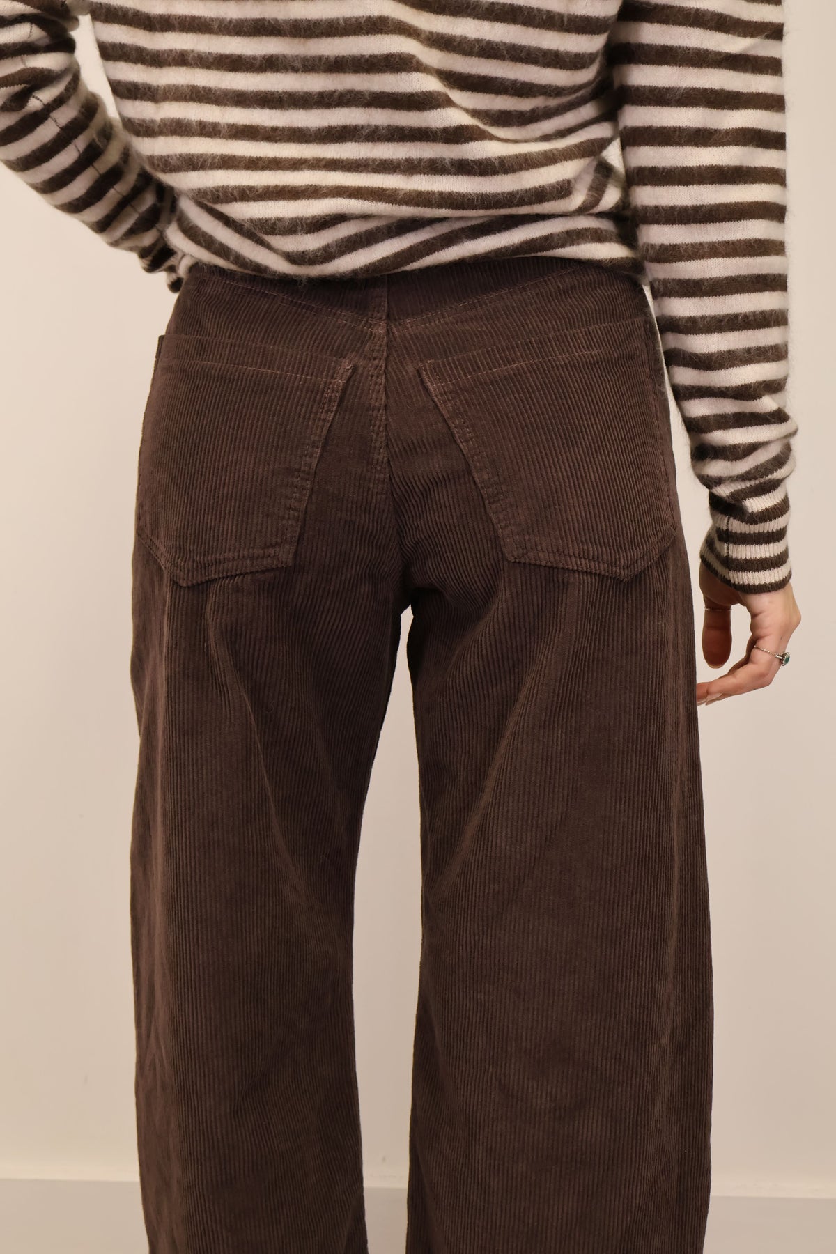 Pantalone ovetto in velluto rocciatore marrone Tensione In