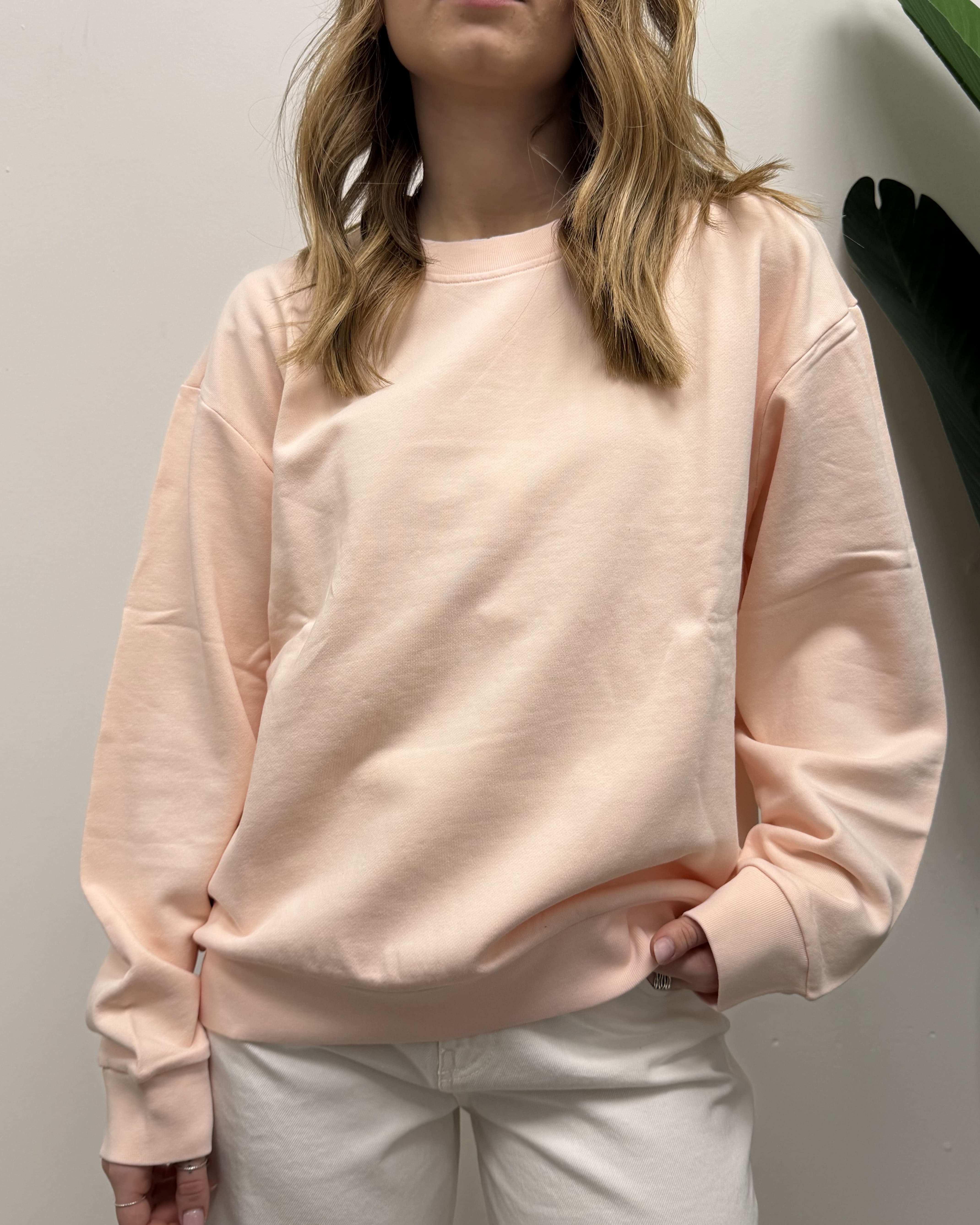 Felpa girocollo in cotone VICOLO