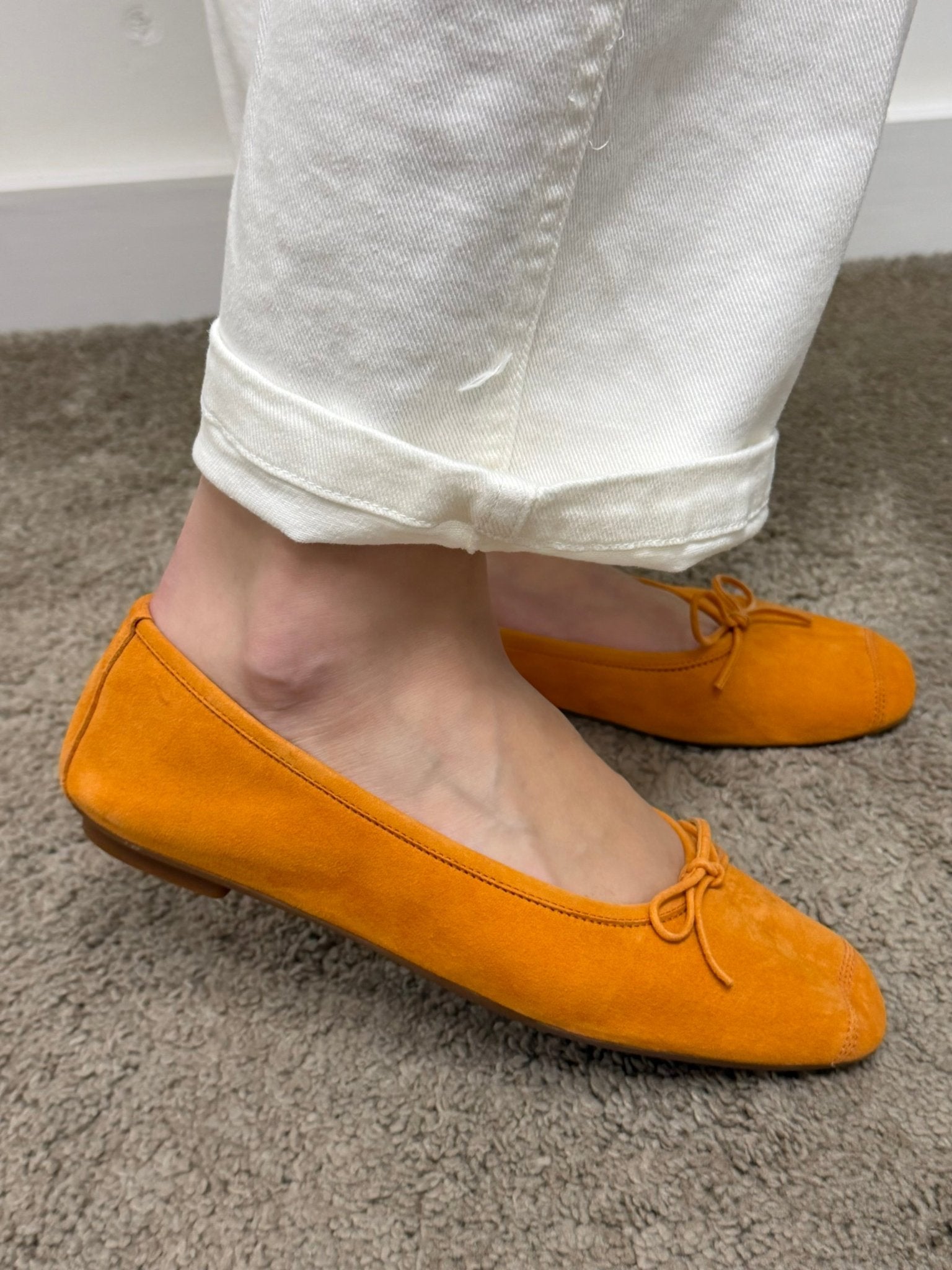Ballerina Harmony velours Requins - GiuGiò | Shop online