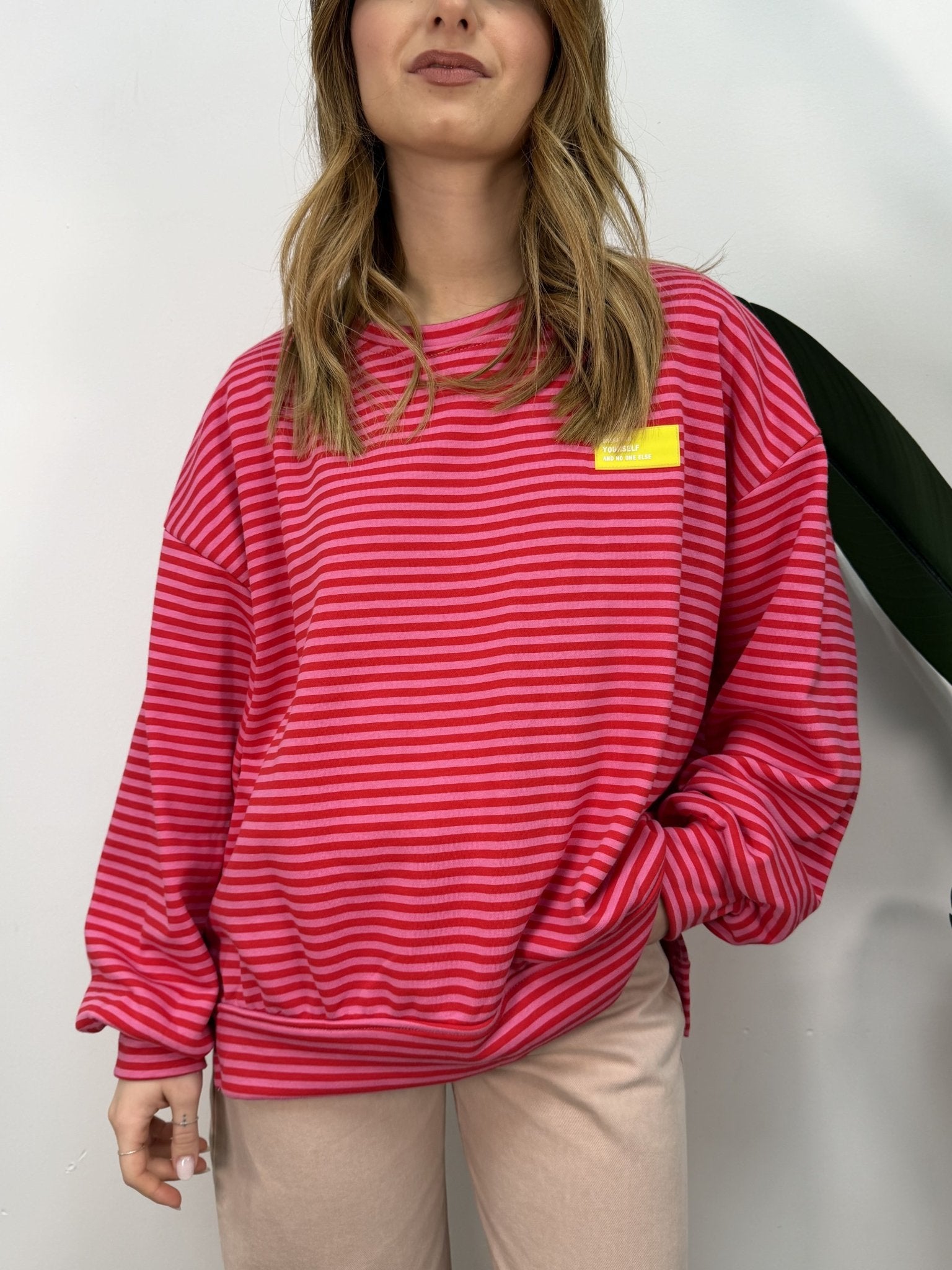 Felpa garzata girocollo riga piccola MyD - GiuGiò | Shop online