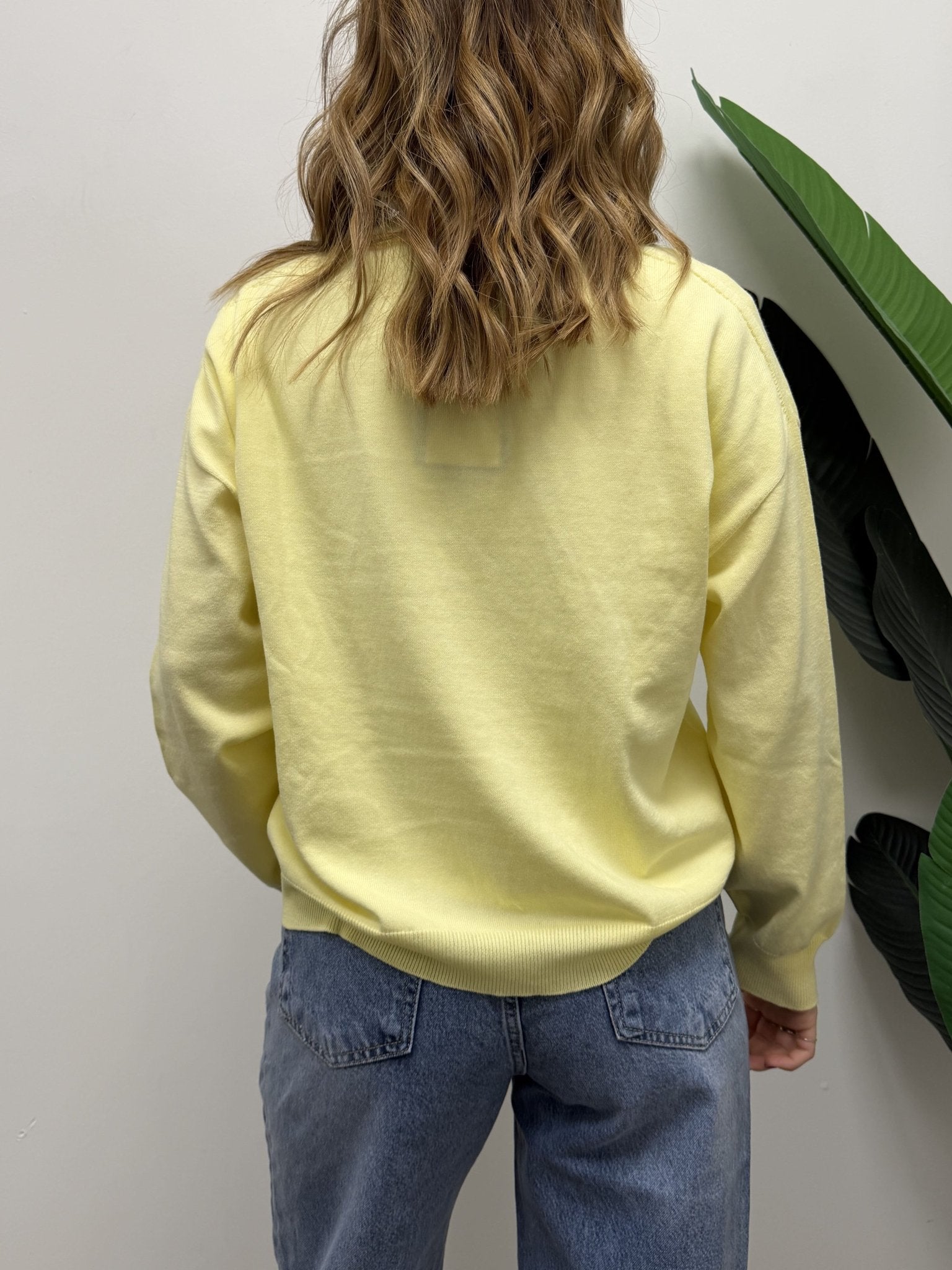 Maglione scollo V in 100% cotone Susy Mix - GiuGiò | Shop online