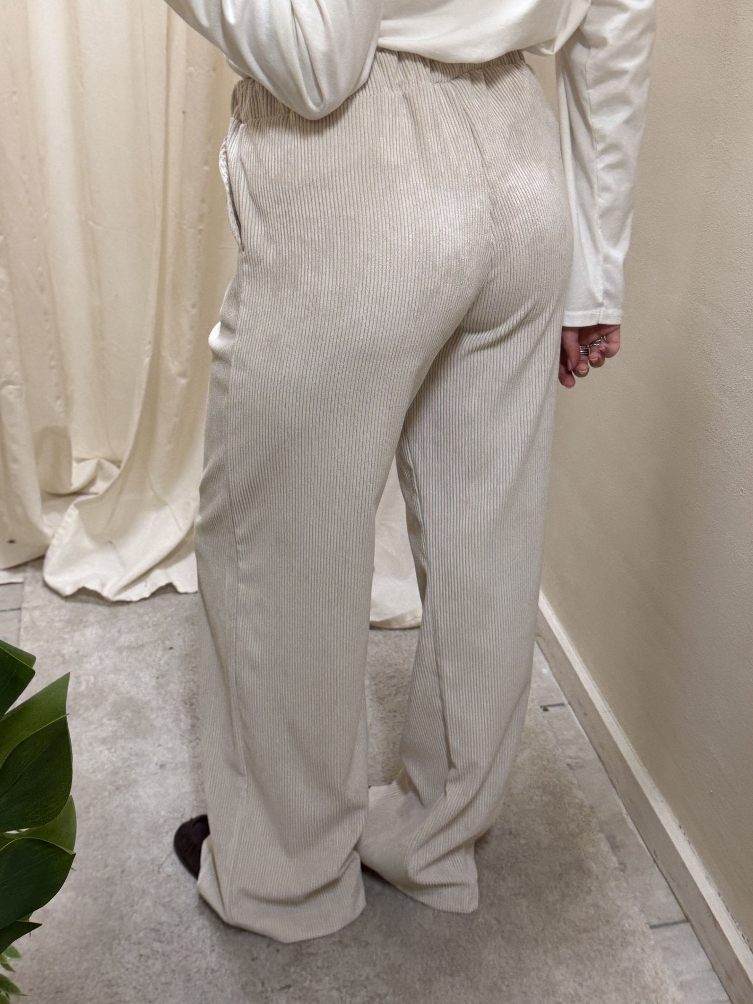 Pantalone gamba dritta in velluto rocciatore MyD - GiuGiò | Shop online